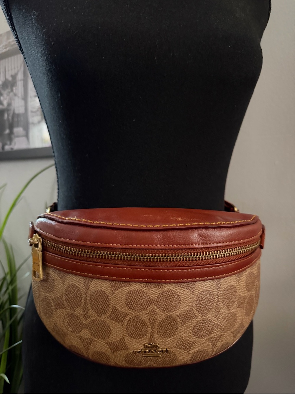 Coach Bethany Belt Bag - Picture 13 of 14